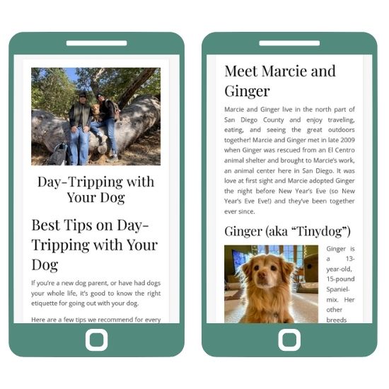 A mobile view of of Go Dog Friendly San Diego's travel blog